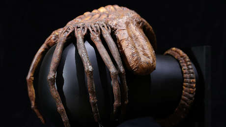 Un 'xenomorfo' de 'Alien' viajó junto a la misión civil de SpaceX (Video)