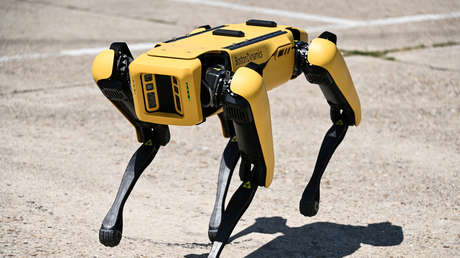 Una artista pinta cuadros clásicos con robots en lugar de humanos y Boston Dynamics le proporciona un asistente