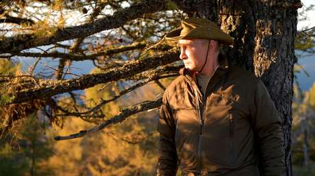 "El oso ve que es Putin": el presidente de Rusia disfruta de sus vacaciones en la taiga siberiana (VIDEO, FOTOS)
