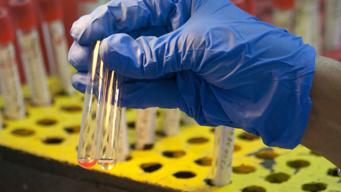 La OMS alerta sobre un brote de fiebre amarilla en Venezuela con siete casos confirmados