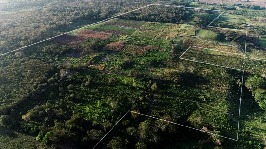 Descubren en México 478 antiguos centros mayas ocultos que revelan conceptos básicos de una versión temprana de un calendario