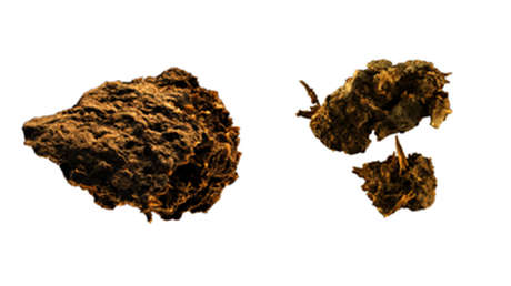 Paleoheces revelan que el hombre ya disfrutaba del queso azul y la cerveza hace 2.700 años