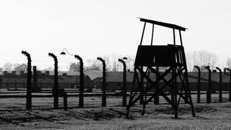 Polémica en Texas: una funcionaria educativa pide a los profesores que se aseguren de tener libros con opiniones "opuestas" sobre el Holocausto