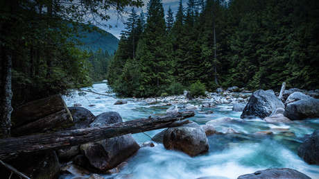El parque natural Golden Ears