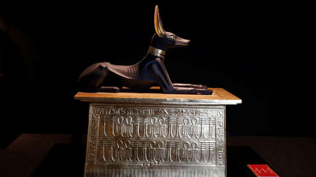 Un criptoinversor pierde 470.000 dólares tras la subasta de un nuevo token 'canino'