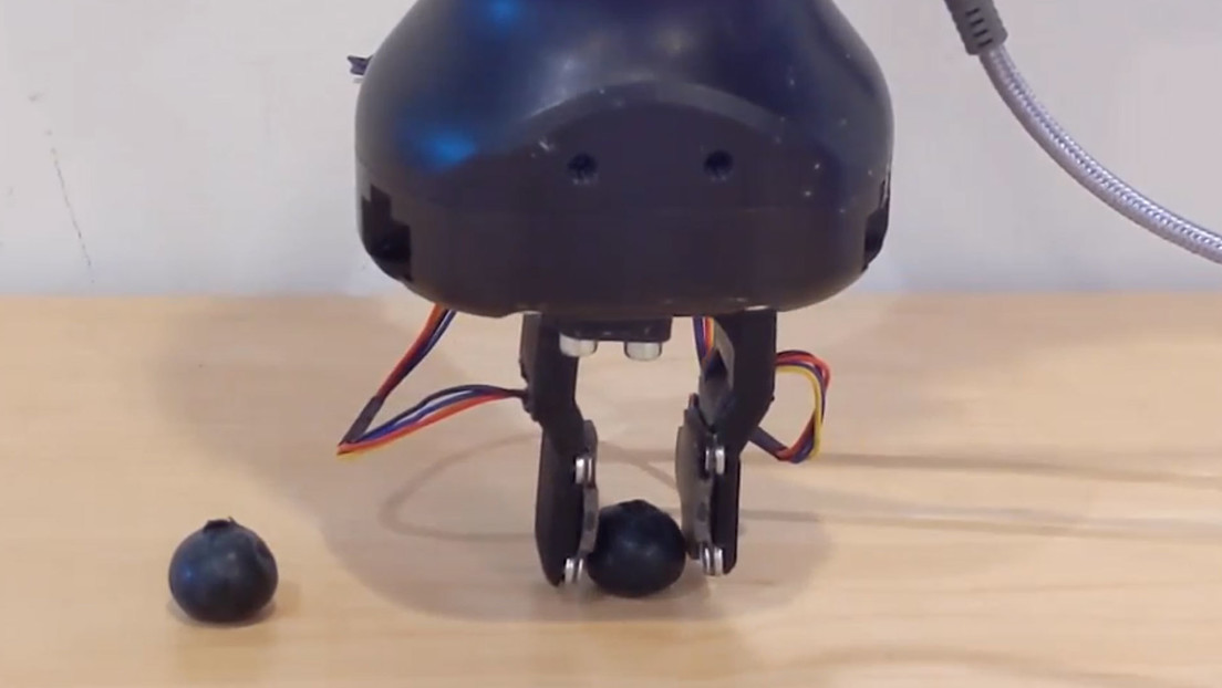 Meta desarrolla una piel sintética que dotará a los robots de un sentido del tacto similar al de los humanos (VIDEOS)