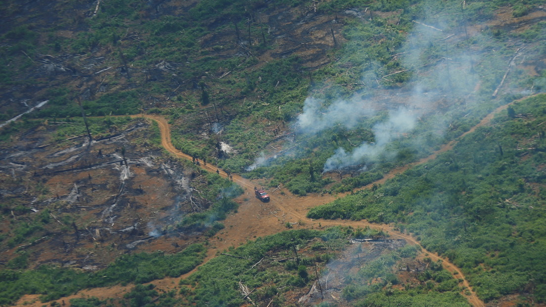 Bolsonaro dice a inversores en Dubái que la Amazonía "no se incendia" al ser "un bosque húmedo"