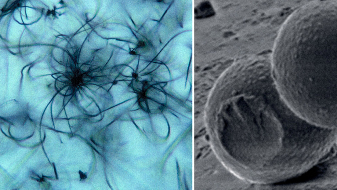 Fósiles falsos podrían inducir a error en la búsqueda de indicios de vida en Marte