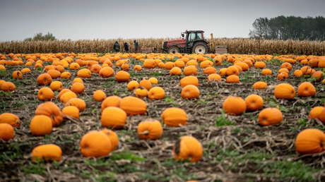 "Debemos construir una revolución industrial verde": Gates apoyará con 315 millones de dólares la investigación agrícola climáticamente inteligente