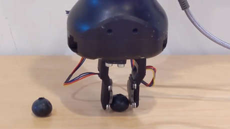 Meta desarrolla una piel sintética que dotará a los robots de un sentido del tacto similar al de los humanos (VIDEOS)