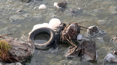 RT gana el premio Nacional de Periodismo de México por un reportaje sobre la contaminación del río Santiago