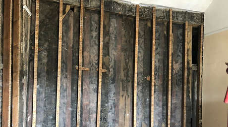 Hallan tras el yeso de una casa señorial pinturas de pájaros dentados y grifos que rugen, una "máquina del tiempo" a la Inglaterra del siglo XVI