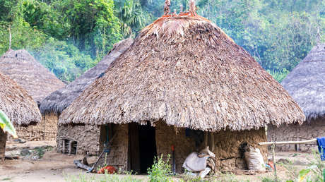 "Puede trabajar pero no metiéndose en los procesos ajenos": amenazan a lideresa indígena de Colombia enviándole una muñeca con una bala en la cabeza