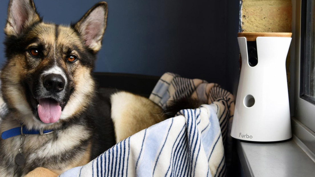 "Hola, hermosa": 'Hacker' consigue espiar a una mujer a través de la cámara de un dispositivo para vigilar mascotas y la saluda