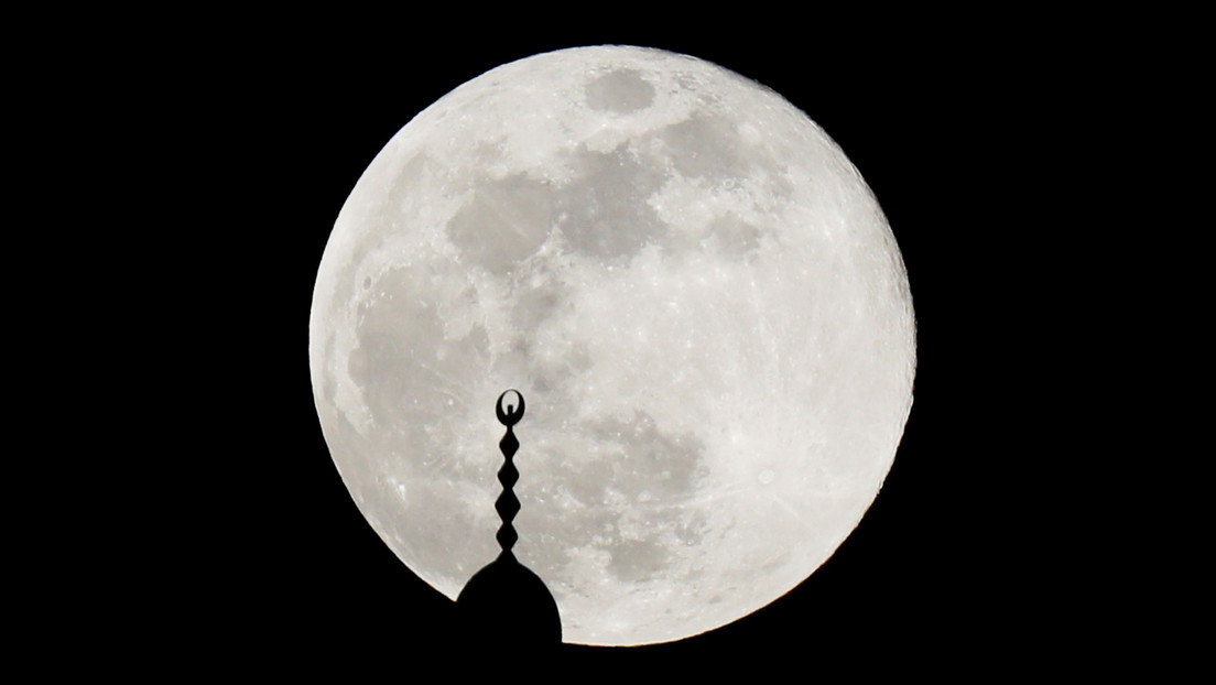 La única criptomoneda que sube en medio de la caída de sus principales rivales (y supera ya al dogecoin y el shiba inu)