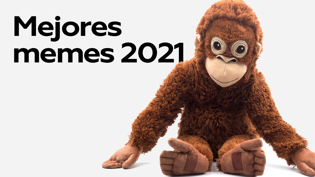 Estos fueron los mejores y más divertidos memes del 2021: ¿cuál de todos te hizo reír más?