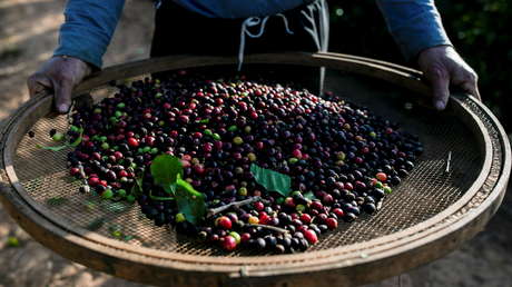 El precio del café alcanza su máximo en 10 años y podría seguir subiendo (y estos son los 'culpables' del alza)