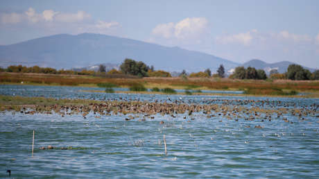 López Obrador anuncia una consulta para declarar el lago de Texcoco área natural protegida