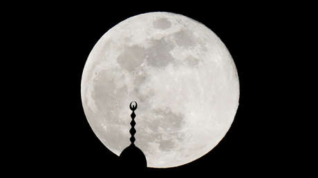 La única criptomoneda que sube en medio de la caída de sus principales rivales (y supera ya al dogecoin y el shiba inu)