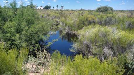 "Es un desastre ecológico": un derrame genera un 'río de petróleo' en Argentina (VIDEOS)
