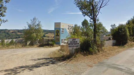 Ordenan el cierre temporal de un zoológico en Francia tras el escape de nueve lobos