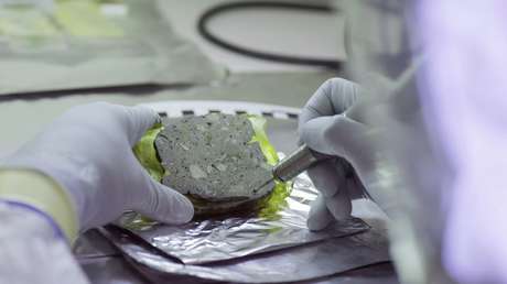 Secuencian ADN de cavernícolas a partir del material orgánico preservado en la resina