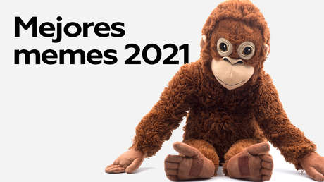 Estos fueron los mejores y más divertidos memes del 2021: ¿cuál de todos te hizo reír más?