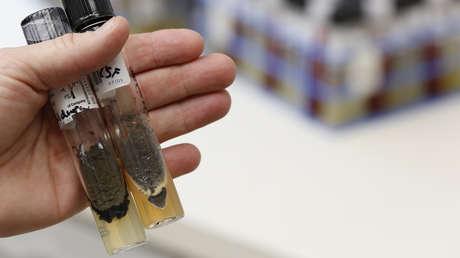 Se detectan los primeros casos  del peligroso e infeccioso hongo mortal 'Candida auris' en el estado de Oregón en EE.UU.