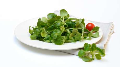 Las autoridades de EE.UU. advierten sobre un brote de E. Coli vinculado a ensaladas envasadas que afecta a 6 estados del país