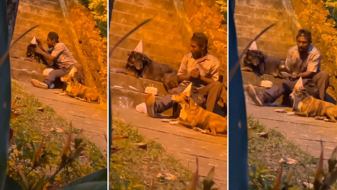 VIDEO: Un sintecho le festeja el cumpleaños a su perro con gorros de fiesta y un pastel con velas (y conmueve a la Red)