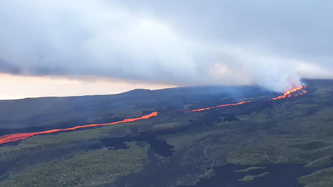 El volcán Wolf de las islas Galápagos continúa su alta actividad eruptiva y los flujos de lava se acercan al mar