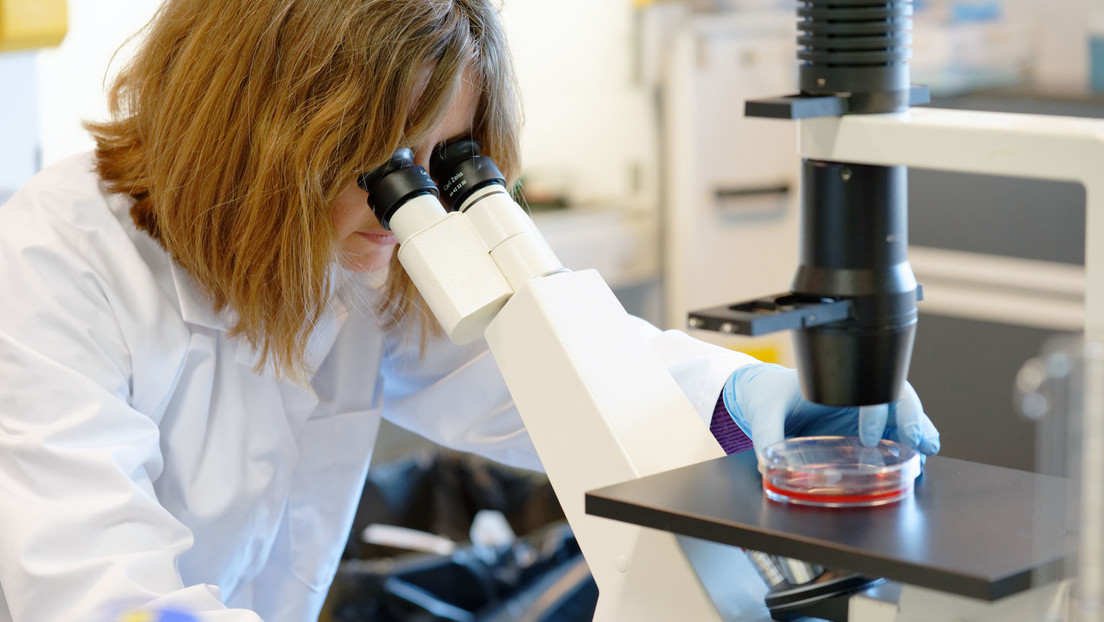 Científicos descubren que el virus de la mononucleosis infecciosa podría ser el causante de la esclerosis múltiple