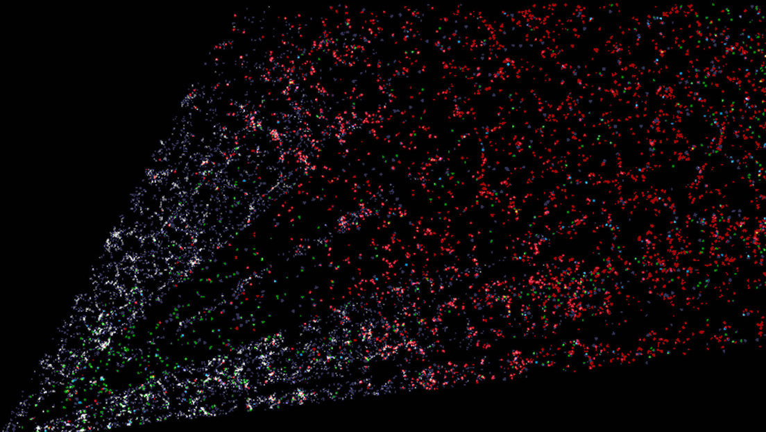 El mapa más detallado del universo que ya clasificó más de 7,5 millones de galaxias y agrega más de un millón cada mes en tres dimensiones