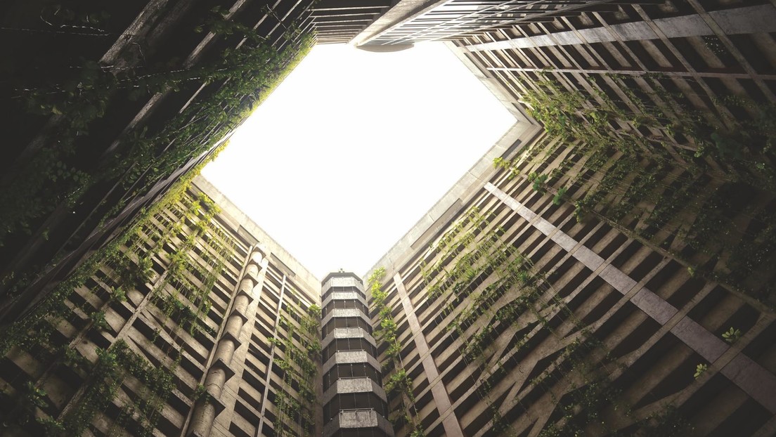 "Deberíamos estar mucho más preocupados por el colapso de la población": Musk manifiesta su desilusión por una posible caída de la población mundial