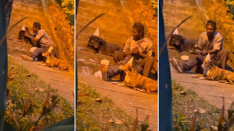 VIDEO: Un sintecho le festeja el cumpleaños a su perro con gorros de fiesta y un pastel con velas (y conmueve a la Red)