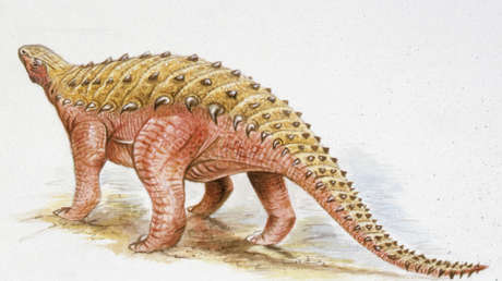 Struthiosaurus austriacus