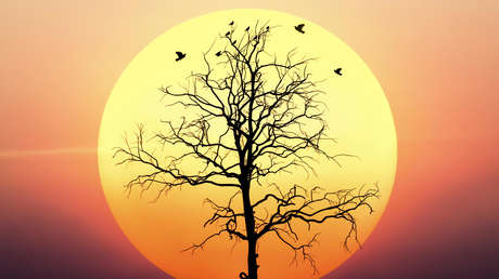 Advierten que los planes para enfriar la Tierra atenuando la luz solar son peligrosos y piden su prohibición