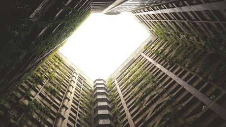 "Deberíamos estar mucho más preocupados por el colapso de la población": Musk manifiesta su desilusión por una posible caída de la población mundial