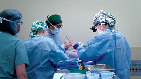 Trasplantan por primera vez dos riñones de cerdo modificado genéticamente a una persona