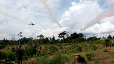 La Corte Constitucional de Colombia da un nuevo frenazo a la aspersión aérea con glifosato