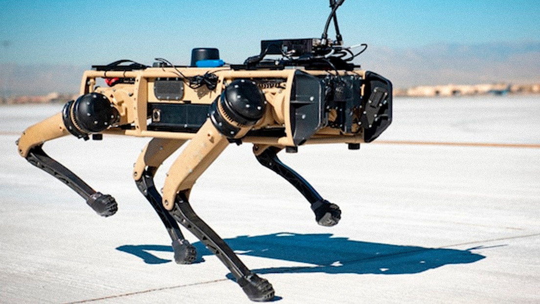 EE.UU. planea incorporar perros mecanizados para patrullar la frontera con México