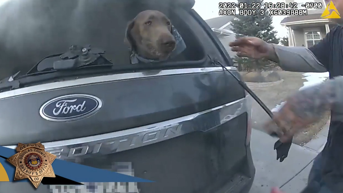 VIDEO: Policía rescata a un perro atrapado en un vehículo en llamas