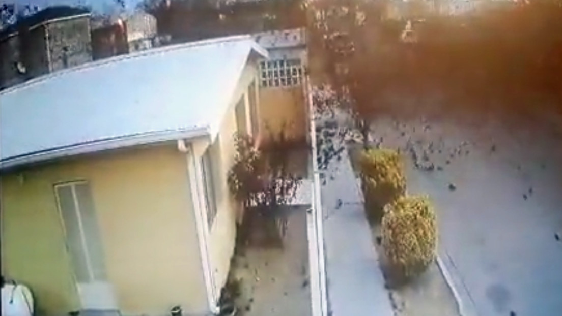 Un centenar de aves muere en pleno vuelo en el norte de México