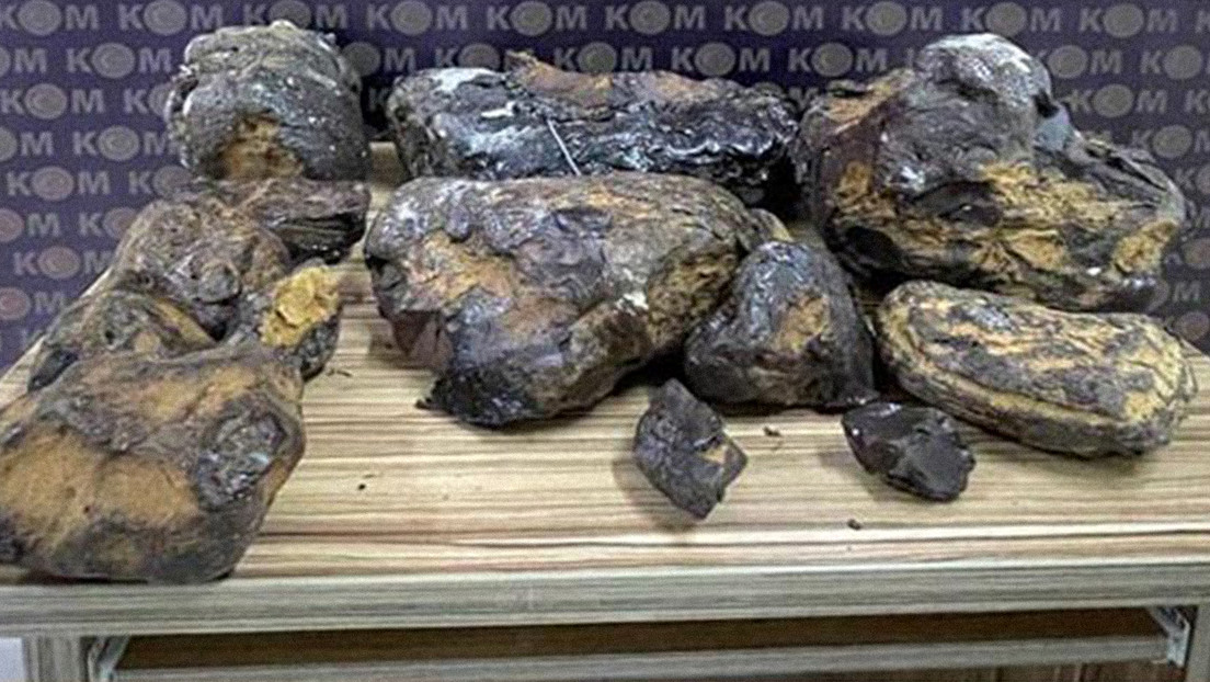 VIDEO: Incautan en Turquía 'vómito de ballena' valorado en más de 730.000 dólares