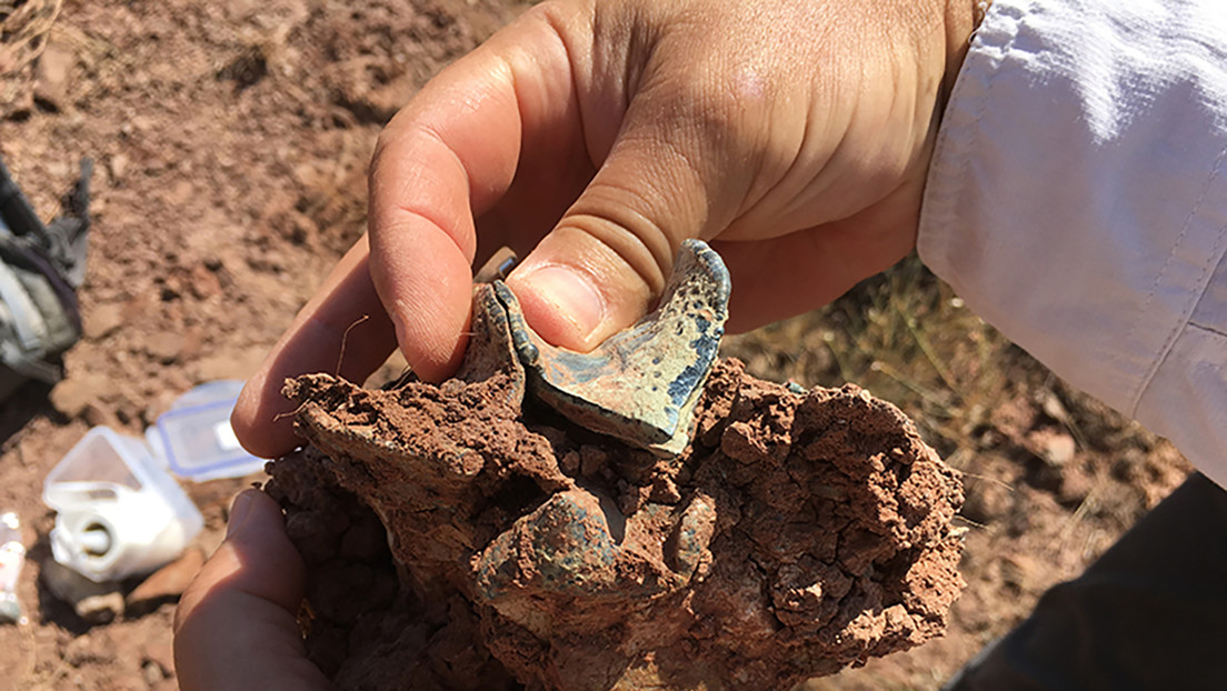 Descubren un continente que existió hace unos 50 millones de años en la actual Eurasia y que pudo ser clave en la extinción masiva de fauna europea