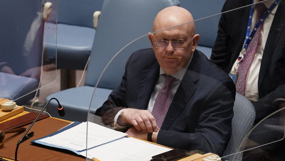 Rusia ante la ONU: las tropas rusas prestarán ayuda humanitaria a los ucranianos en los territorios liberados de los radicales