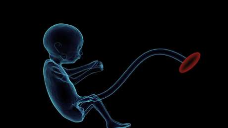 Diseñan un útero artificial con un sistema de 'niñera robótica' que vigila los embriones