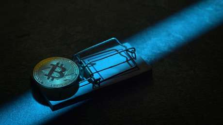 La idea "loca" de un artista de implantar el bitcóin en un ratón para venderlo después de la muerte del animal