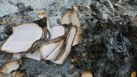 VIDEO: Un pastor estadounidense organiza una quema masiva de libros de 'Harry Potter' y 'Crepúsculo' junto con otros "materiales demoníacos"