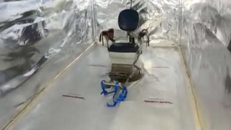 "El reverso del uso recreativo de la cocaína": juzgan en Países Bajos a 11 personas por el caso de la cámara de tortura en un contenedor marítimo